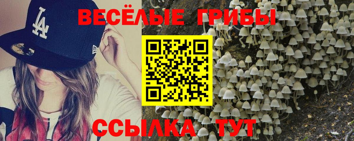 Псилоцибиновые грибы мухоморы  Вход с VPN  Костомукша 