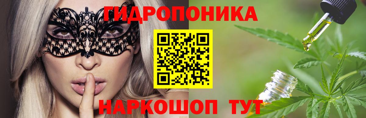 Канабис MAZAR  Бошки марихуана план  Каннабис марихуана  Вход с VPN  Костомукша 